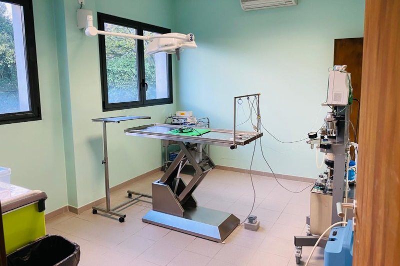 Salle de chirurgie